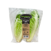 綠羅文芯生菜